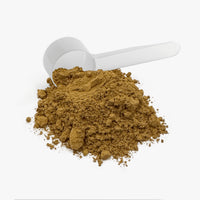 Mushroom Coffee Fuse Instant Vital Nutra - Titilio Life Labs - Titilio.com